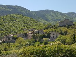 buis_les_baronnies8